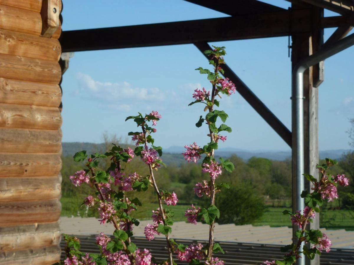 Redspring Chambres D'Hotes Coligny Esterno foto
